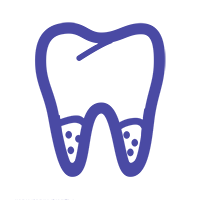 Dental Services - Endodontics